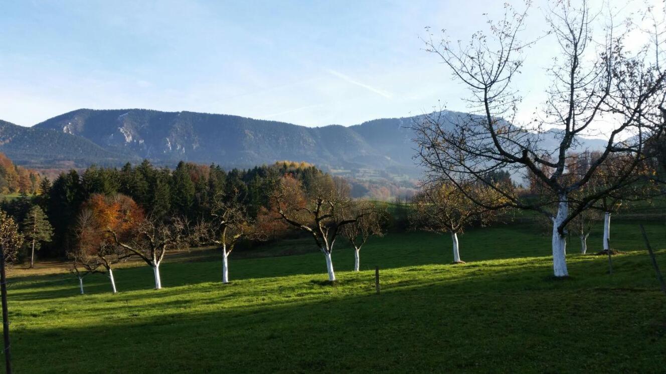 فيلا Weissnhof سامربيرغ المظهر الخارجي الصورة